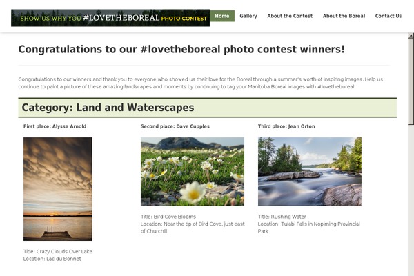 Agera theme site design template sample