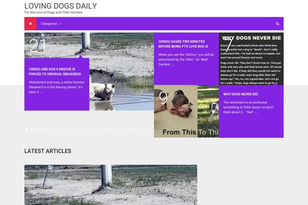 Magazine Pro theme site design template sample