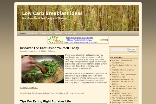 Schema Lite theme site design template sample