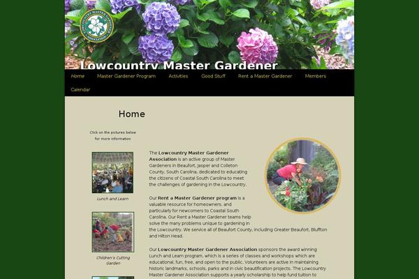 lowcountrymga.org site used Twentythirteen-child-01
