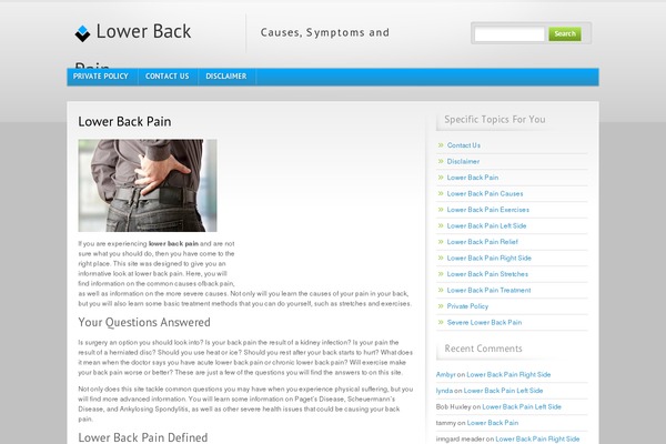 Blue and Grey theme site design template sample