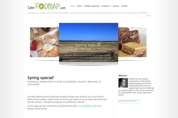Modest theme site design template sample