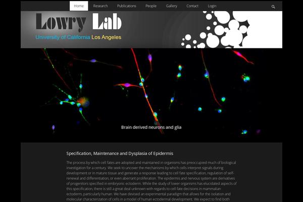 Catch Responsive theme site design template sample