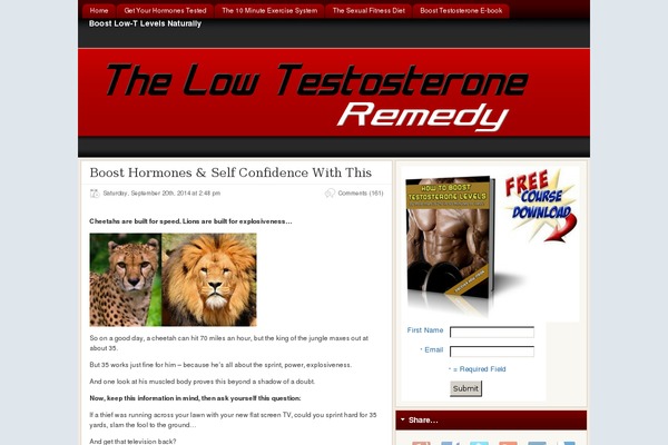 Flexsqueeze theme site design template sample