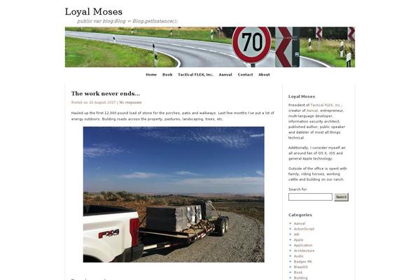 SubtleFlux theme site design template sample