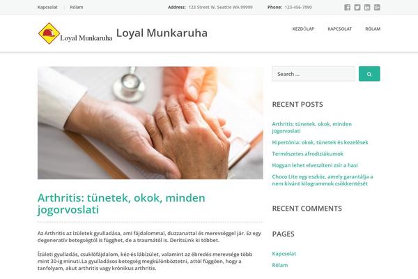 Emmet Lite theme site design template sample