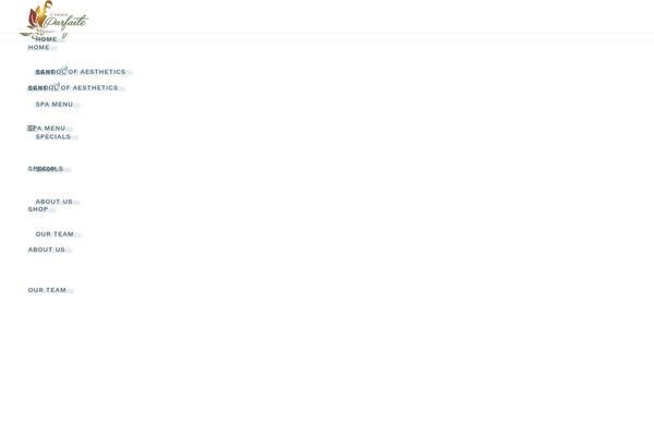 Reina theme site design template sample