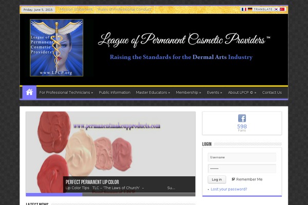 Sahifa theme site design template sample