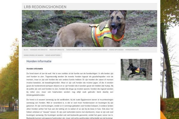 picolight theme site design template sample
