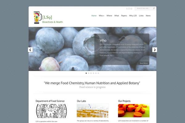 Chameleon theme site design template sample