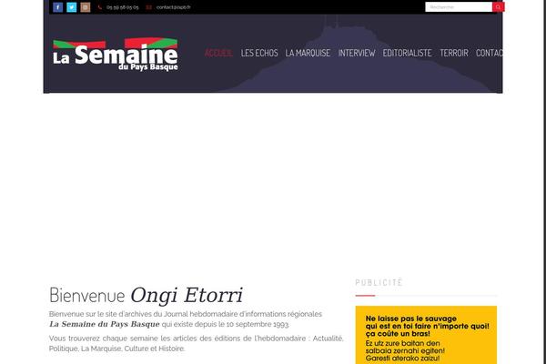 Newser theme site design template sample