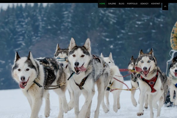 Vernissage theme site design template sample