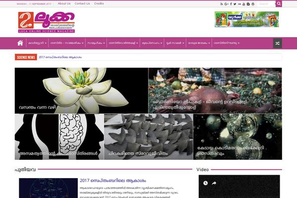 Site using Posts from a Category Widget plugin
