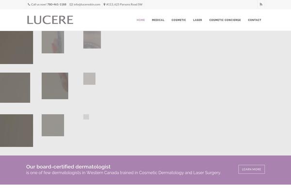 Apicona theme site design template sample