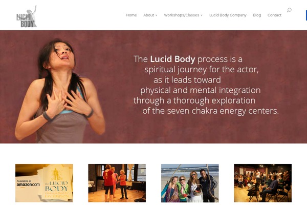 Site using Divi-booster plugin