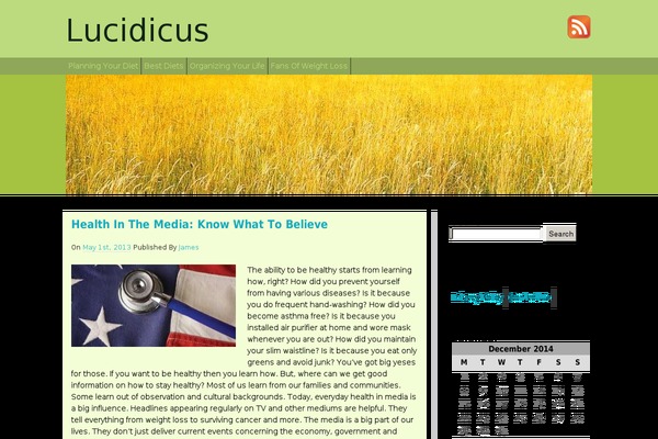 Grain theme site design template sample