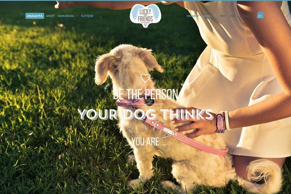 North theme site design template sample