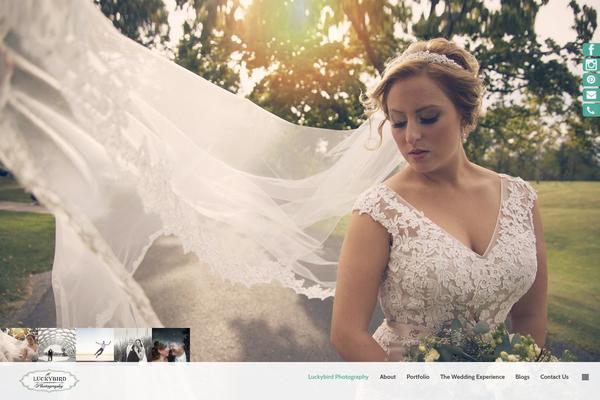Frame theme site design template sample