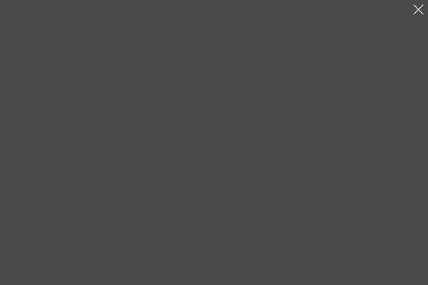 Site using Image Caption Hover plugin
