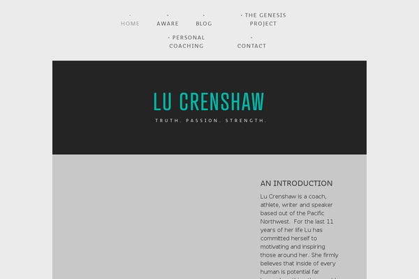 Sueva theme site design template sample