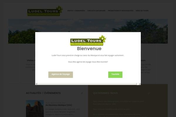 Nixe theme site design template sample