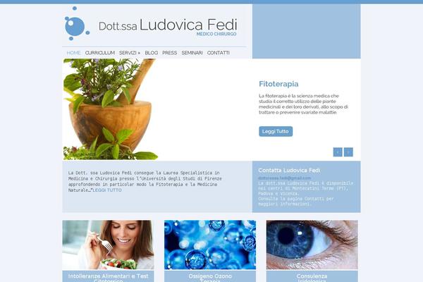 Bizz website example screenshot