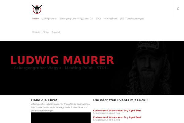 Salient theme site design template sample
