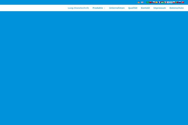 Divi Child theme site design template sample