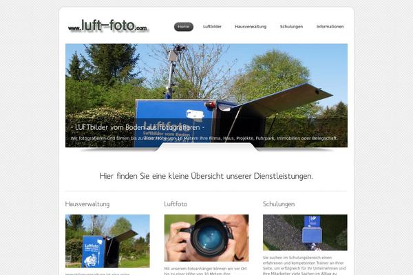 Dzonia Lite theme site design template sample