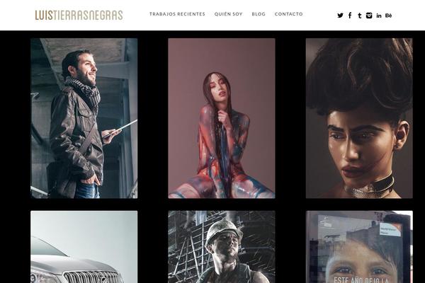 Largegridres theme site design template sample
