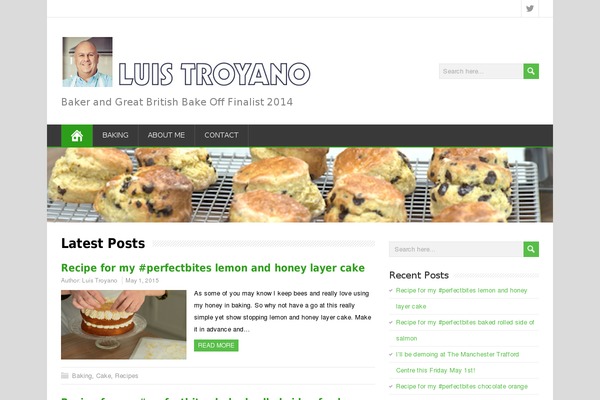 MineZine theme site design template sample