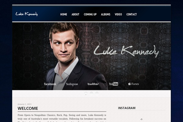 Artistoftheyear theme site design template sample
