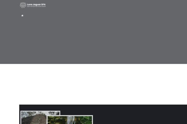 Site using Themeisle-companion plugin