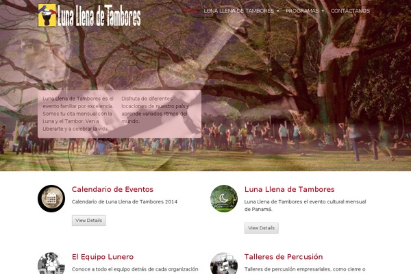 Avas theme site design template sample
