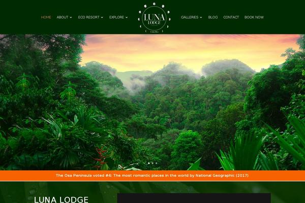 Site using Divi-Switch plugin
