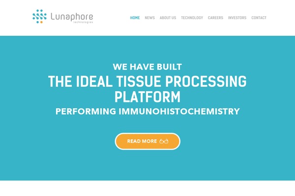 luna theme site design template sample