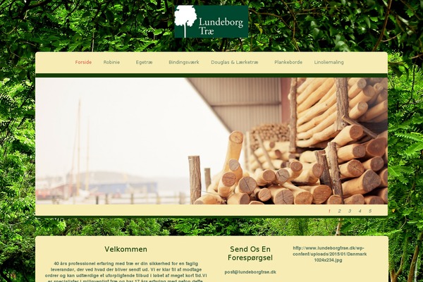 Zenon theme site design template sample