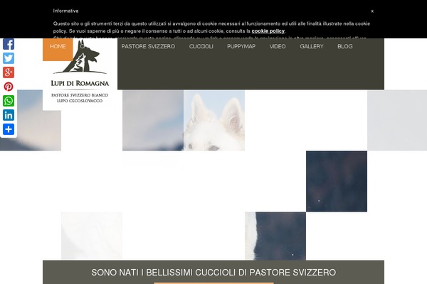 Site using Cresta Social Share Counter plugin