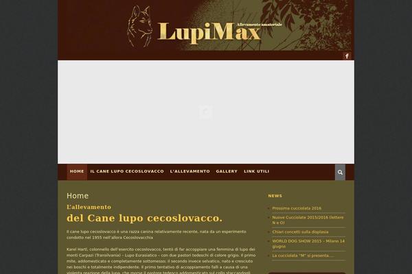 Nebraska theme site design template sample