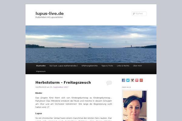 Site using Instagram Widget by WPZOOM plugin