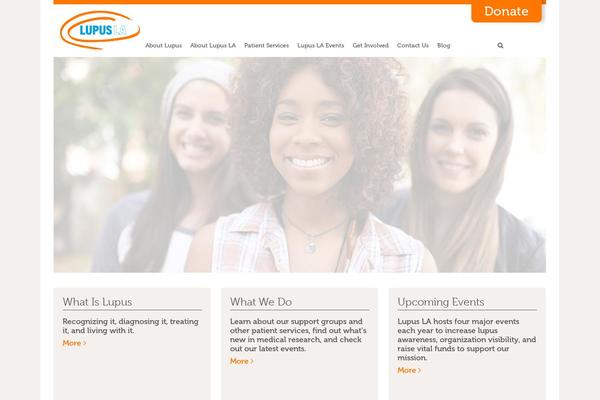 Site using Mailchimp-for-wp-pro plugin