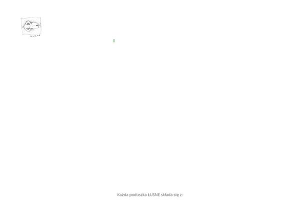 Bronx-wp theme site design template sample