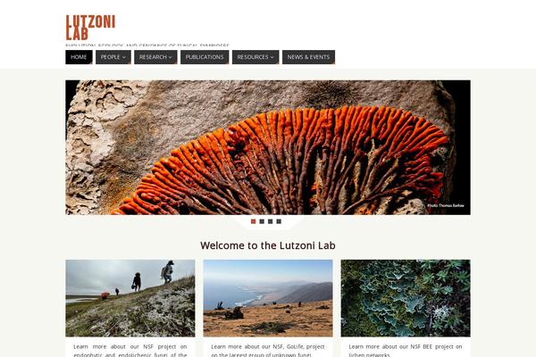 Parabola Child theme site design template sample