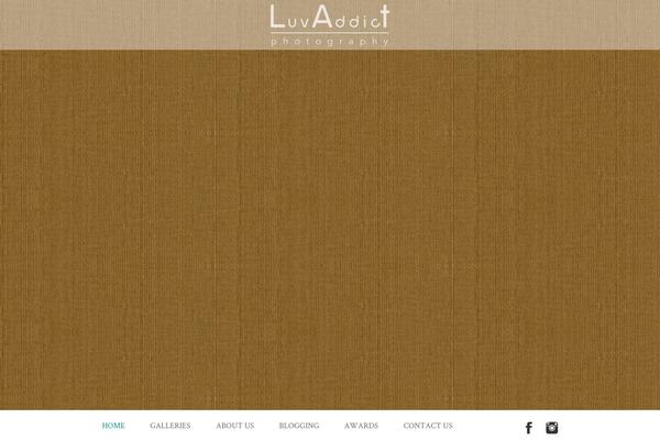 luv WordPress theme, websites list used luv theme luv theme websites examples