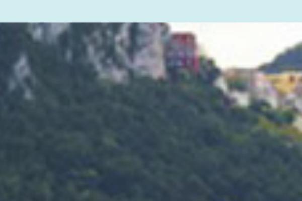 Site using Facebook-page-feed-graph-api plugin