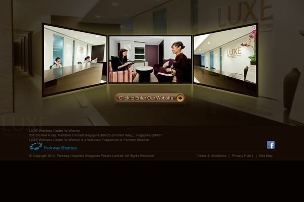Luxe theme site design template sample