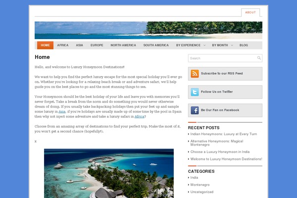 Sezen theme site design template sample
