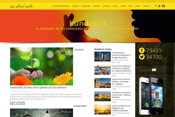 Site using Social Media Followers Counter plugin