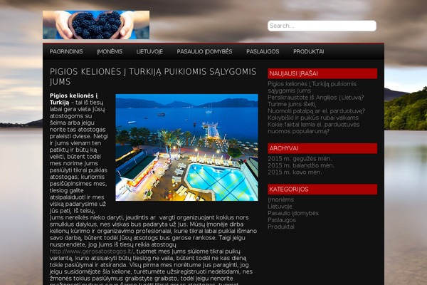 NewGamer theme site design template sample