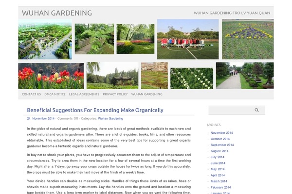 picolight theme site design template sample
